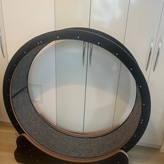 キャットホイール 家具の中古が安い！激安で譲ります・無料で