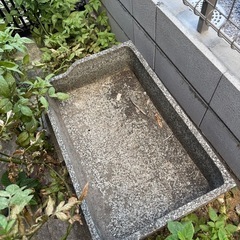 水鉢　水槽　無理の画像