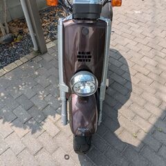 vox原付の画像