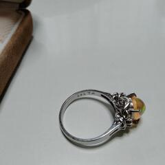 メキシコオパール アクアの画像