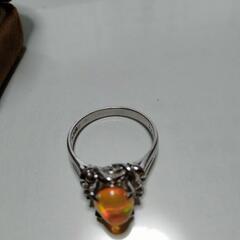 メキシコオパール アクアの画像