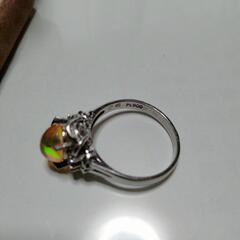 メキシコオパール アクアの画像