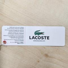 🌈LACOSTE ベルトの画像