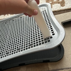 犬、猫トイレの画像
