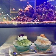 女性限定カフェ行きたい