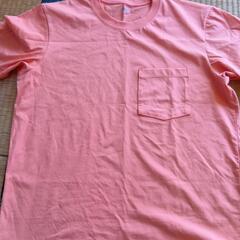 Tシャツの画像