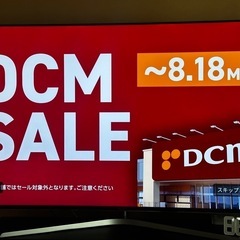 KISS Ace Frehley 直筆サイン パンフレット 半券 ステッカー KISS Ace Frehley 直筆サイン パンフレット 半券 ステッカー