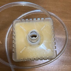 多分ロカボーイの画像