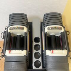Power Block 可変式ダンベル４０kg専用スタンド付きの画像