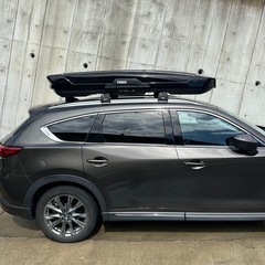 【不具合有】Thule Motion XT Alpine　直接引渡限定の画像