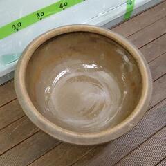 0808-085 睡蓮鉢の画像
