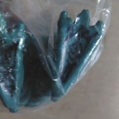 ソフビ　ヒドラの画像