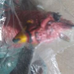 ソフビ　ヒドラの画像