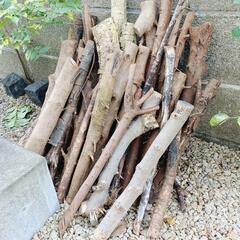 大量の薪　バーベキュー　炭　キャンプの画像