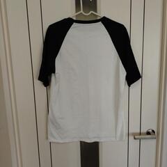 DAZY ラグランTシャツの画像