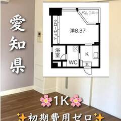 初期費用ゼロ　愛知県名古屋市　家賃63500円　ペット相談…