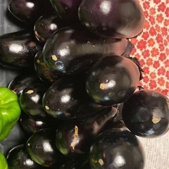 採れたて茄子の画像