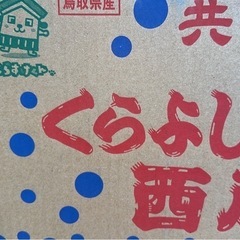 スイカの画像