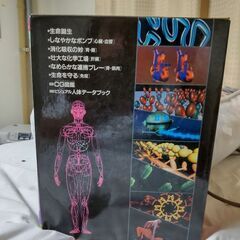 人体の勉強する人〜の画像
