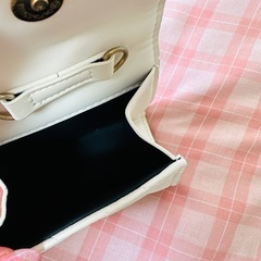 小さいバッグの画像