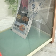 水槽の画像