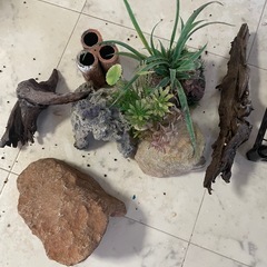 【取引予定あり】水槽いろいろの画像