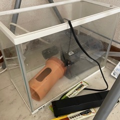 【取引予定あり】水槽いろいろの画像