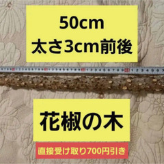 大型インコ中型インコとまり木