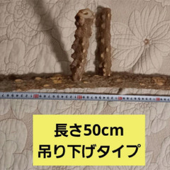 大型インコ中型インコとまり木