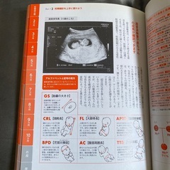 初めての妊娠・出産の本の画像
