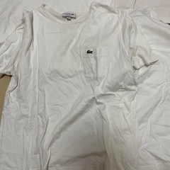 tommy ノースフェイス　ラコステの画像