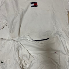 tommy ノースフェイス　ラコステの画像