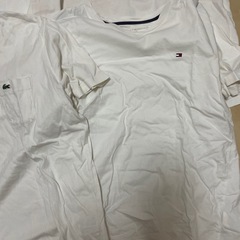 tommy ノースフェイス　ラコステの画像