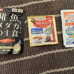 決まりました　水槽　エアーポンプ　他
の画像