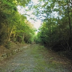 No.G720【京都府南丹市園部町】山林　3筆あげます！