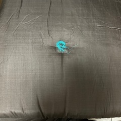 高品質銘仙座布団5枚セットの画像