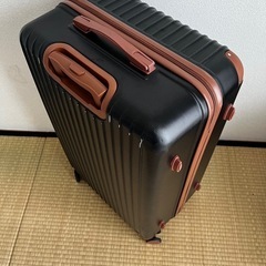スーツケースLL 海外旅行の画像