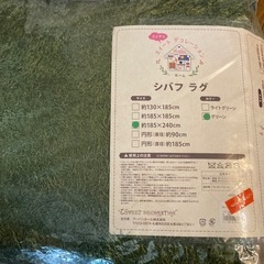 芝生風ラグマット　中古
の画像