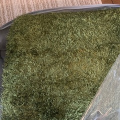 芝生風ラグマット　中古
の画像
