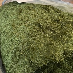 芝生風ラグマット　中古
の画像