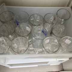 ビールジョッキ無料で差し上げます！の画像