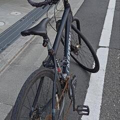 CANNONDALE badboyの画像