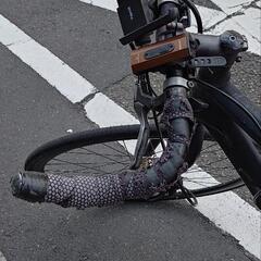 CANNONDALE badboyの画像