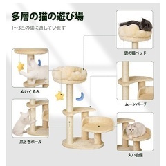 子猫　キャットタワーの画像