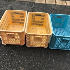 コンテナ　サンテナー  ラック まとめての画像