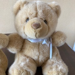 くま　ぬいぐるみの画像