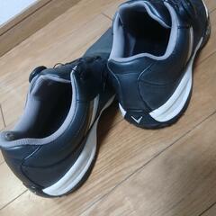 美品　キャロウェイゴルフシューズ　の画像