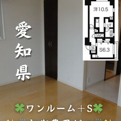【初期費用ゼロ🙌】愛知県名古屋市 ワンルーム+S 家賃9.…