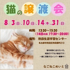 子猫だらけの譲渡会