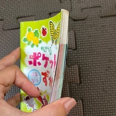 ポケット図鑑　3冊セットの画像